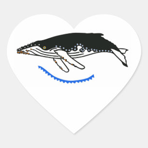 I Liebe Humpback WHALES - Meeresblau Herz-Aufkleber