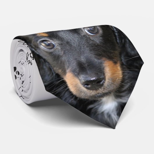 I Liebe Hunde Dackel Neck Tie Krawatte (Gerollt)