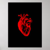 I Liebe / I Herzanatomie Poster (Vorne)