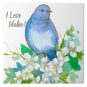 I Liebe Idaho Bluebird Syringa Wildblume Fliese