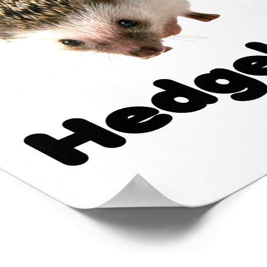 I LIEBE IGEL POSTER (Ecke)