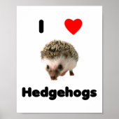 I LIEBE IGEL POSTER (Vorne)