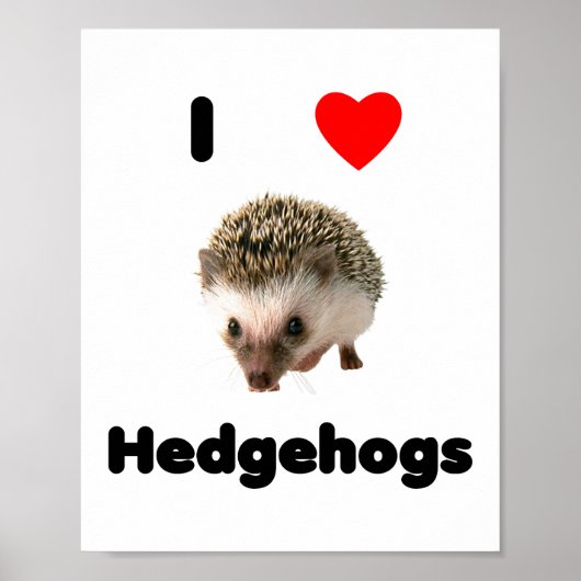 I LIEBE IGEL POSTER (Vorne)