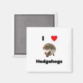 I Liebe Igels Magnet (Vorderseite/Rückseite)