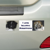 I Liebe Isländisch Sheepdogs Autoaufkleber (Auf Auto)