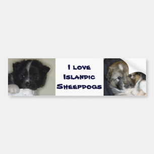 I Liebe Isländisch Sheepdogs Autoaufkleber
