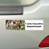 I Liebe Isländisch Sheepdogs Autoaufkleber (Auf Auto)
