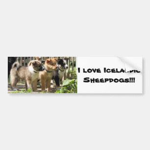 I Liebe Isländisch Sheepdogs Autoaufkleber