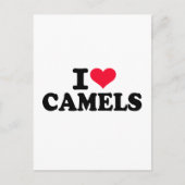 I Liebe Kamele Postkarte (Vorderseite)
