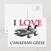 I Liebe Kanadischer Gänse Postkarte (Vorne/Hinten)