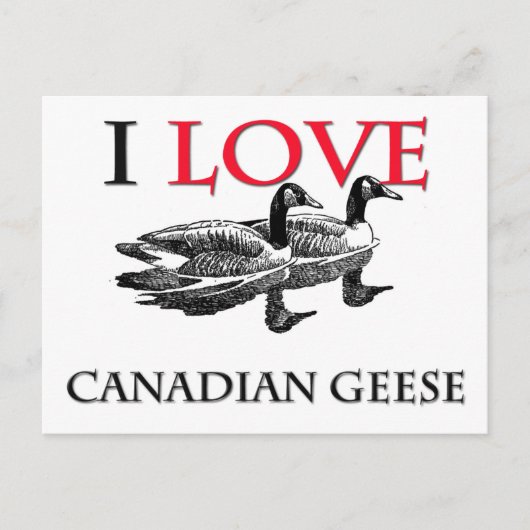 I Liebe Kanadischer Gänse Postkarte (Vorderseite)