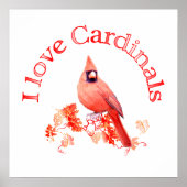 I LIEBE KARDINAL POSTER (Vorne)