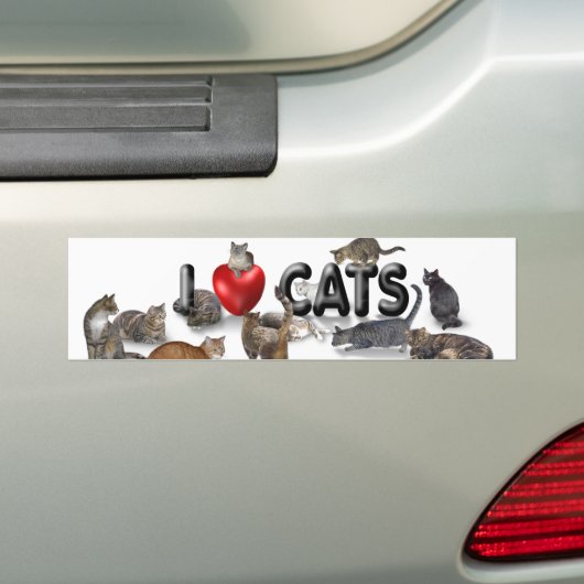 I Liebe Katzen Autoaufkleber (Auf Auto)