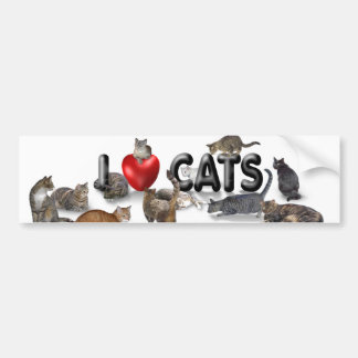 I Liebe Katzen Autoaufkleber