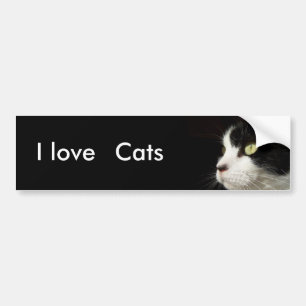 I Liebe, Katzen-Autoaufkleber Autoaufkleber