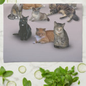 I Liebe Katzen Geschirrtuch (Gefaltet)