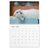 I Liebe Katzen Kalender (Mär 2027)