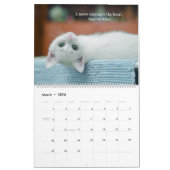 I Liebe Katzen Kalender (Mär 2026)