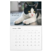 I Liebe Katzen Kalender (Jan 2026)