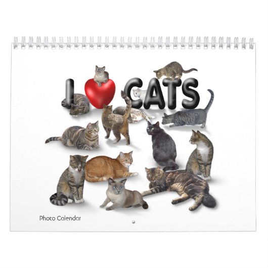 I Liebe Katzen 😻 Kalender (Titelbild)