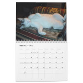 I Liebe Katzen 😻 Kalender (Feb 2027)