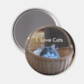 I Liebe Katzen Magnet (Vorderseite/Rückseite)