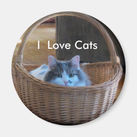 I Liebe Katzen Magnet (Vorne)