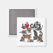 I Liebe Katzen Magnet (Vorderseite/Rückseite)