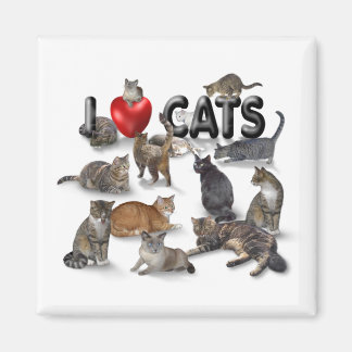 I Liebe Katzen Magnet