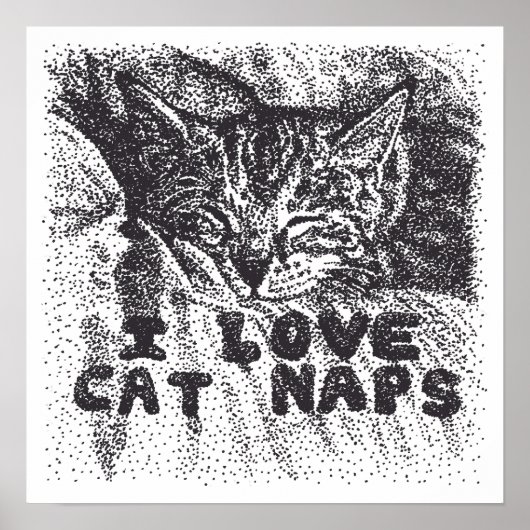 I Liebe Katzen Nickerchen, Katze schlafen Poster (Vorne)