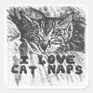 I Liebe Katzen Nickerchen, Katze schlafen Quadratischer Aufkleber