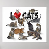 I Liebe Katzen Poster (Vorne)