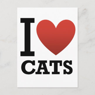 I Liebe Katzen Postkarte