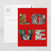 I Liebe Katzen Postkarte (Vorne/Hinten)