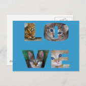 I Liebe Katzen Postkarte (Vorne/Hinten)