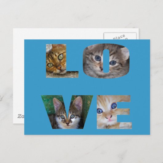 I Liebe Katzen Postkarte (Vorne/Hinten)