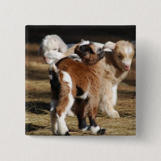 I Liebe Kids Button (Vorderseite)