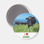 I Liebe Kühe Magnet (Vorderseite/Rückseite)