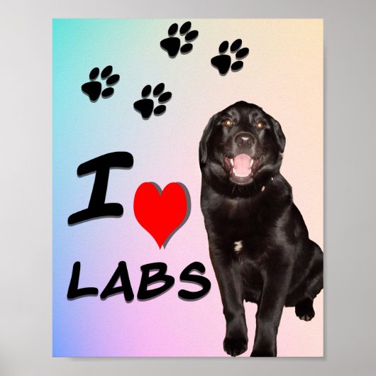 I Liebe Labrador drucken, Werteplakat (Matte) Poster (Vorne)