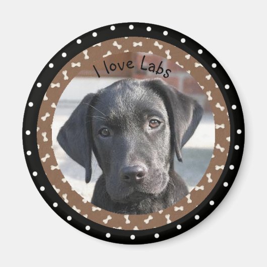 I Liebe Labradors Magnet (Vorne)