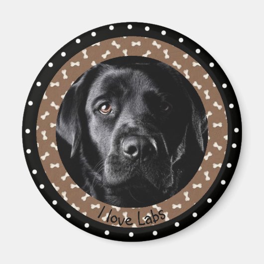 I Liebe Labradors Magnet (Vorne)