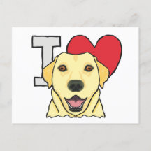 I Liebe Labradors
