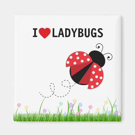 I Liebe Ladybugs Magnet (Vorne)