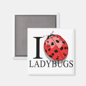 I Liebe Ladybugs Magnete Magnet (Vorderseite/Rückseite)