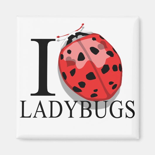 I Liebe Ladybugs Magnete Magnet (Vorne)