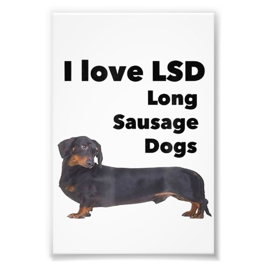 I Liebe Lange Wurst Hunde Funny Dackel Dackel Fotodruck (Vorne)