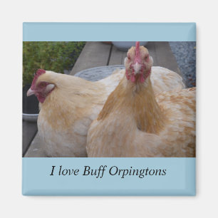 I Liebe… Lederfarbener Orpingtons Huhn-Magnet Magnet