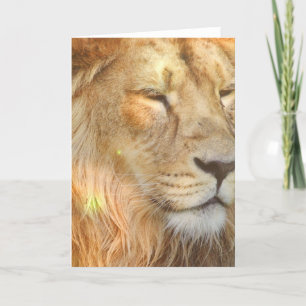 I Liebe Lions Grußkarte Karte