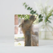 I Liebe Llamas Postkarte (Stehend Vorderseite)