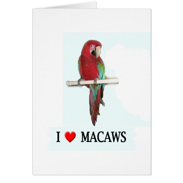 I Liebe Macaws (Vorne)